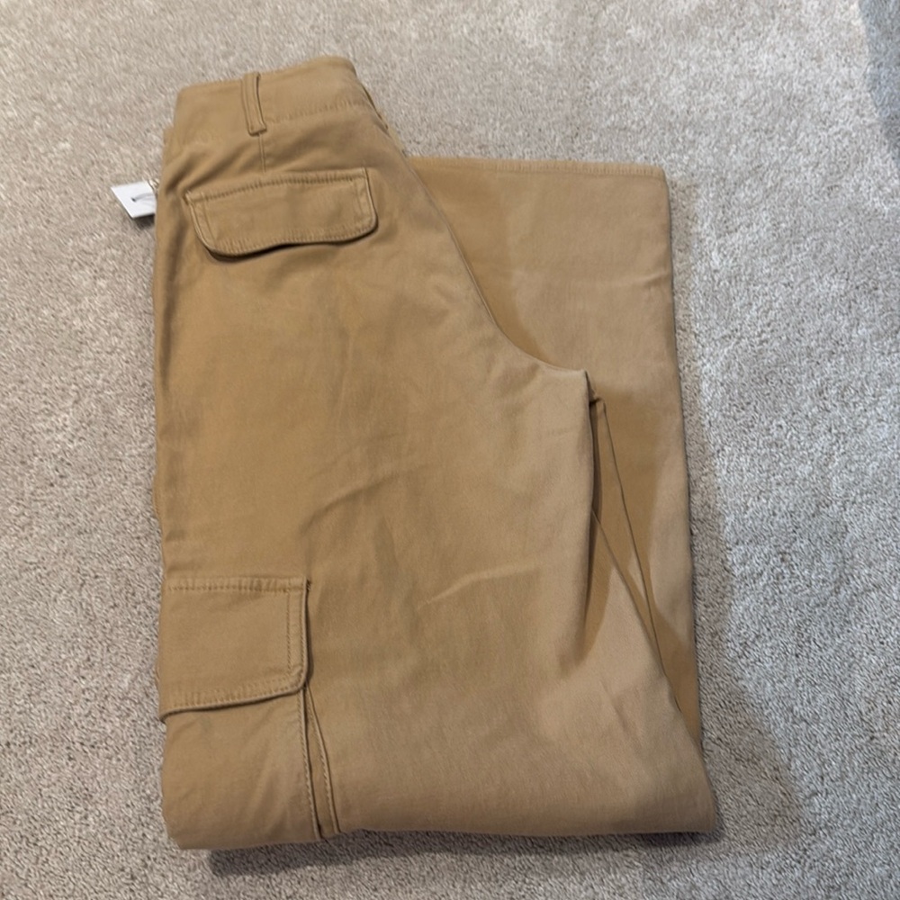 Wilfred sandy beige cargo picture pants size 00